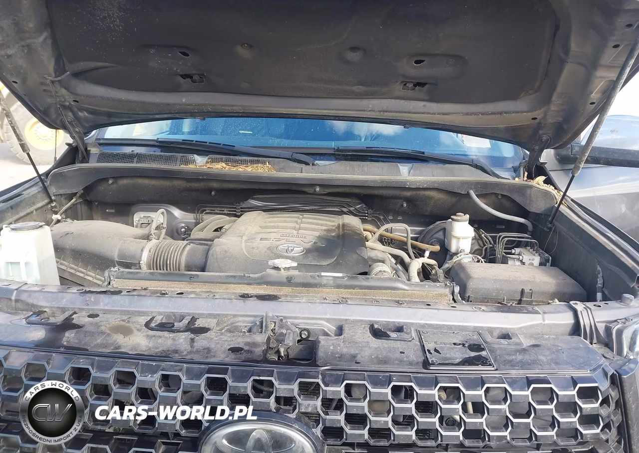 2018 Toyota Tundra Platinum 5.7L V8 VIN:5TFAY5F1XJX740674 - 10
