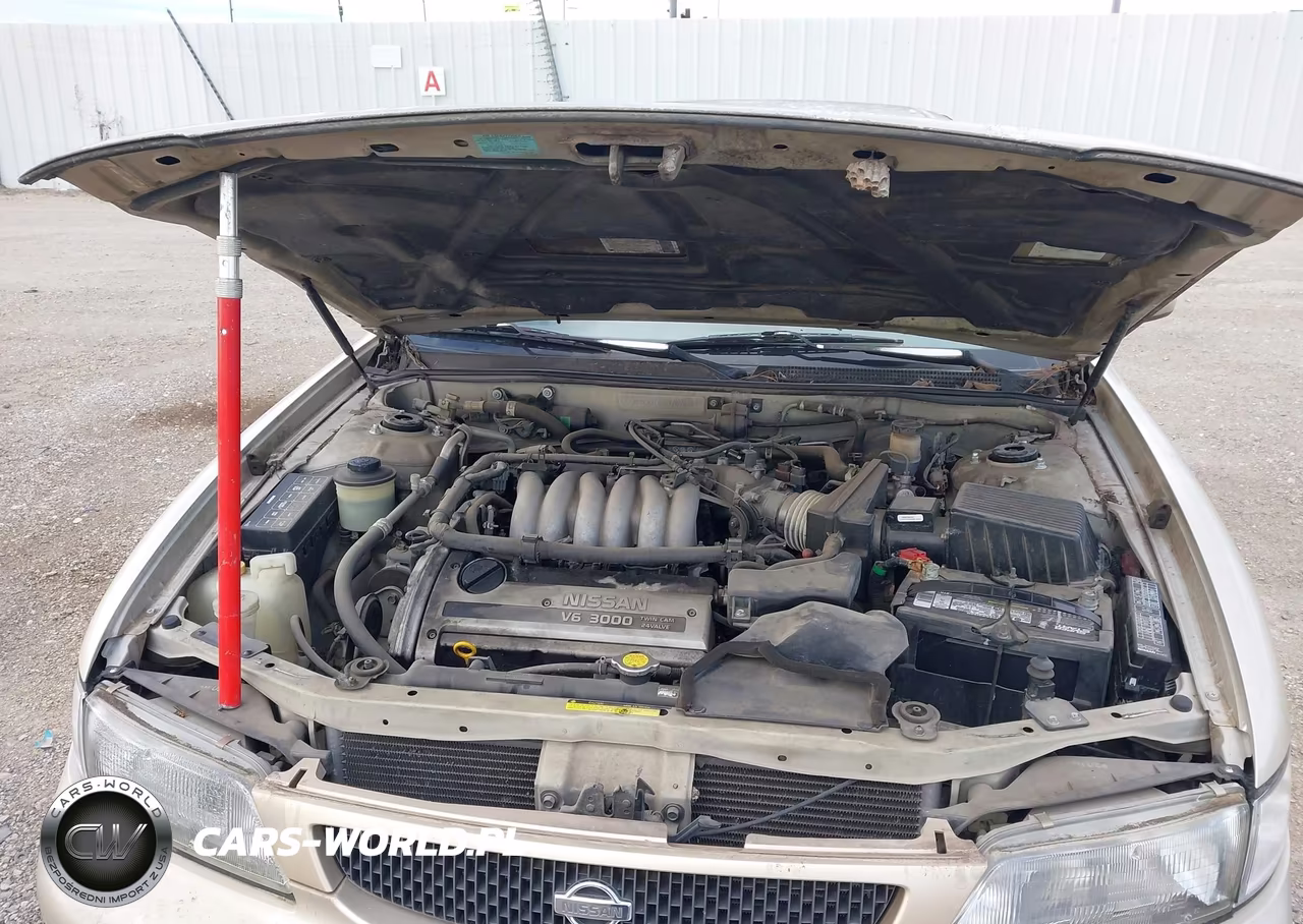 1995 Nissan Maxima Gle-Gxe-Se VIN:JN1CA21D8ST057493 - 10