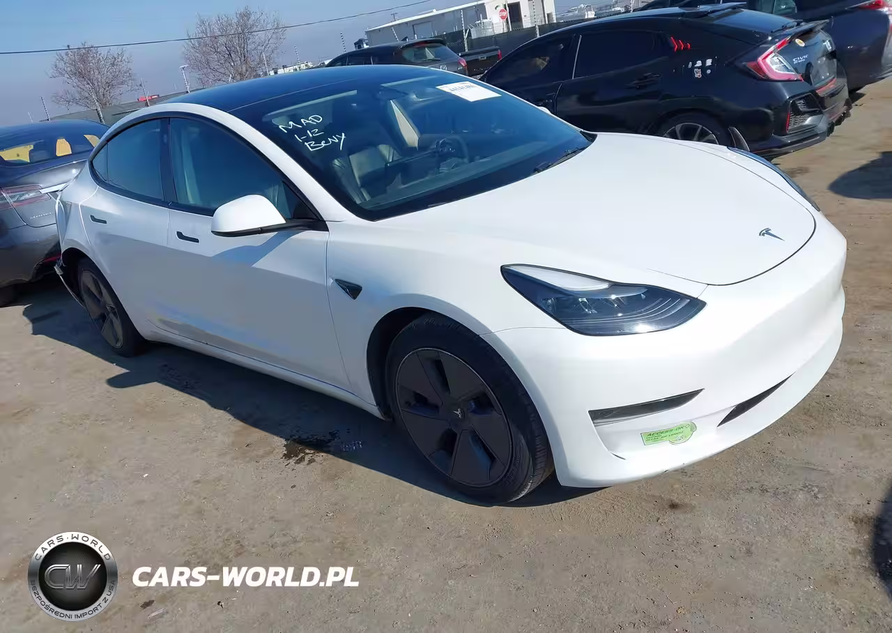 2023 Tesla Model 3 Rear-Wheel Drive