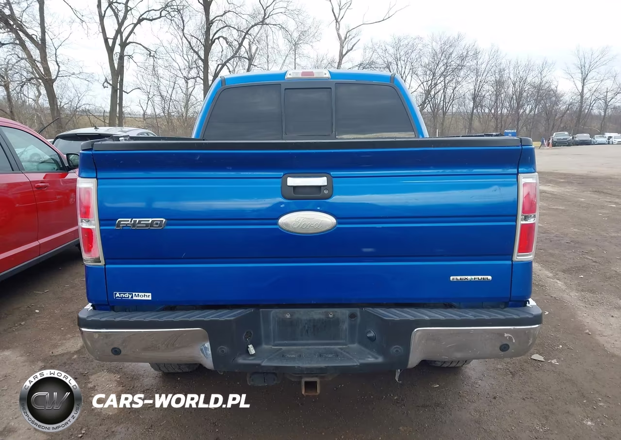 2011 Ford F-150 Xlt VIN:1FTFW1EF6BFB82637 - 16