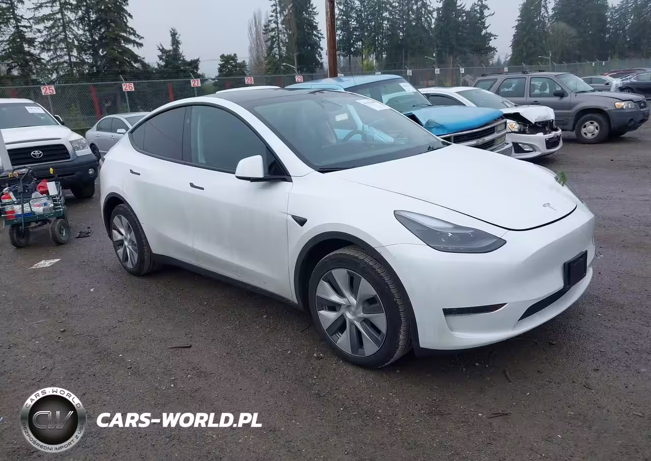 2024 Tesla Model Y Rwd
