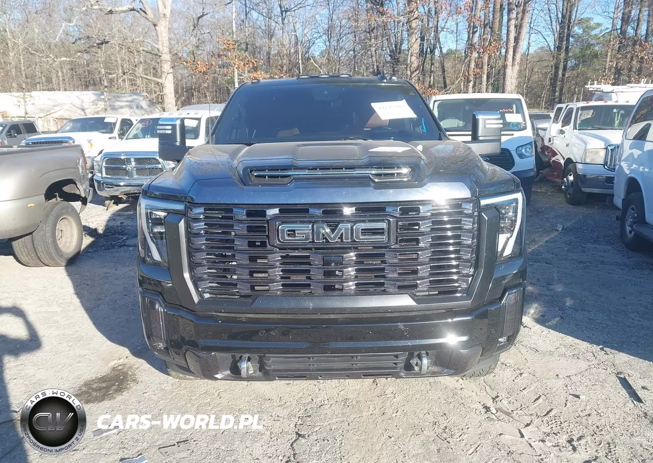 2024 GMC Sierra 3500Hd 4Wd Long Bed Denali Ultimate VIN:1GT49YEY4RF353212 - 13