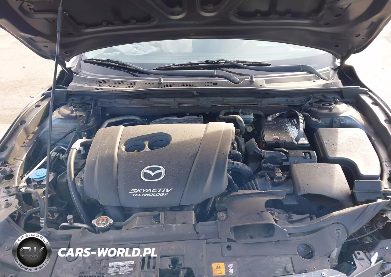 2016 Mazda Mazda3 S Grand Touring VIN:JM1BM1N37G1354396 - 10