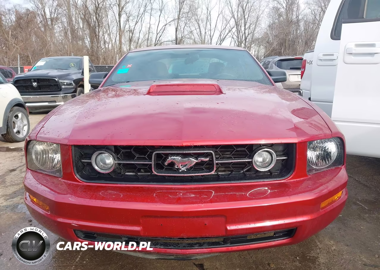 2007 Ford Mustang V6 Deluxe-V6 Premium VIN:1ZVFT80N975334873 - 11