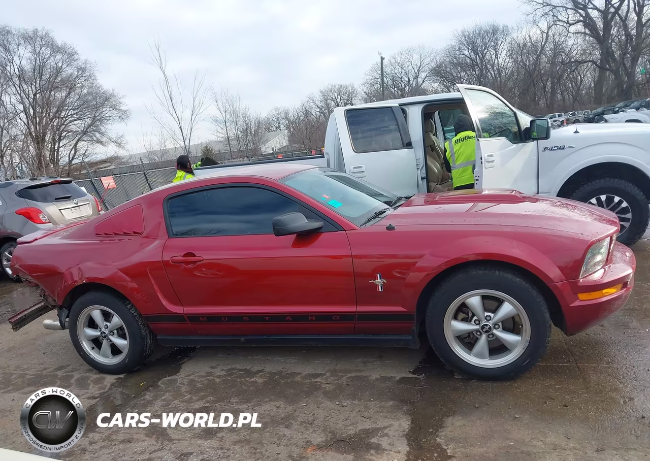 2007 Ford Mustang V6 Deluxe-V6 Premium VIN:1ZVFT80N975334873 - 12