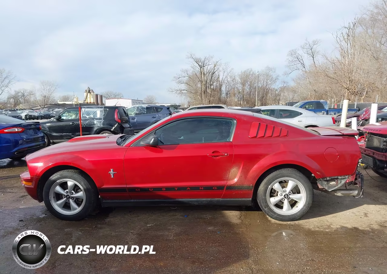 2007 Ford Mustang V6 Deluxe-V6 Premium VIN:1ZVFT80N975334873 - 13
