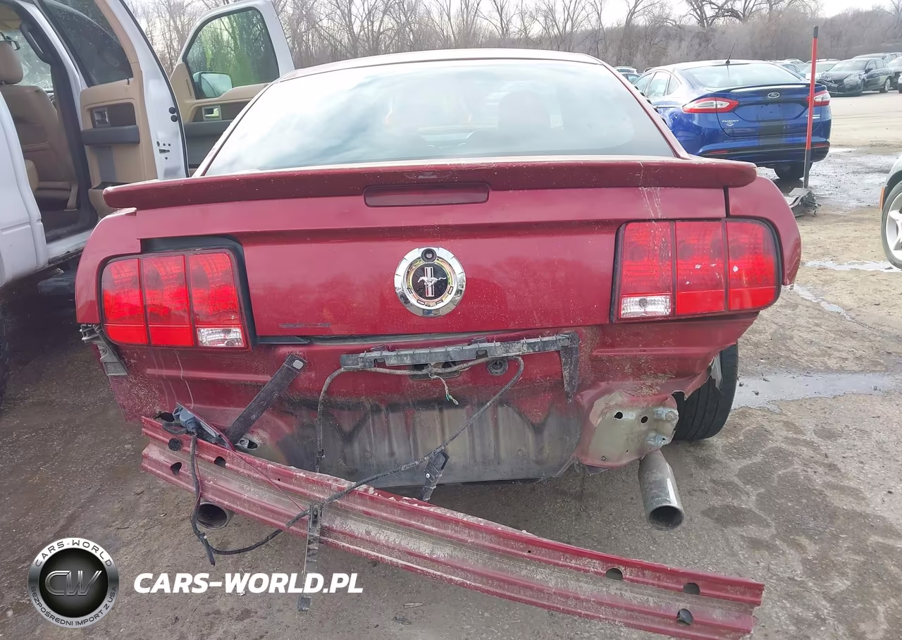 2007 Ford Mustang V6 Deluxe-V6 Premium VIN:1ZVFT80N975334873 - 15