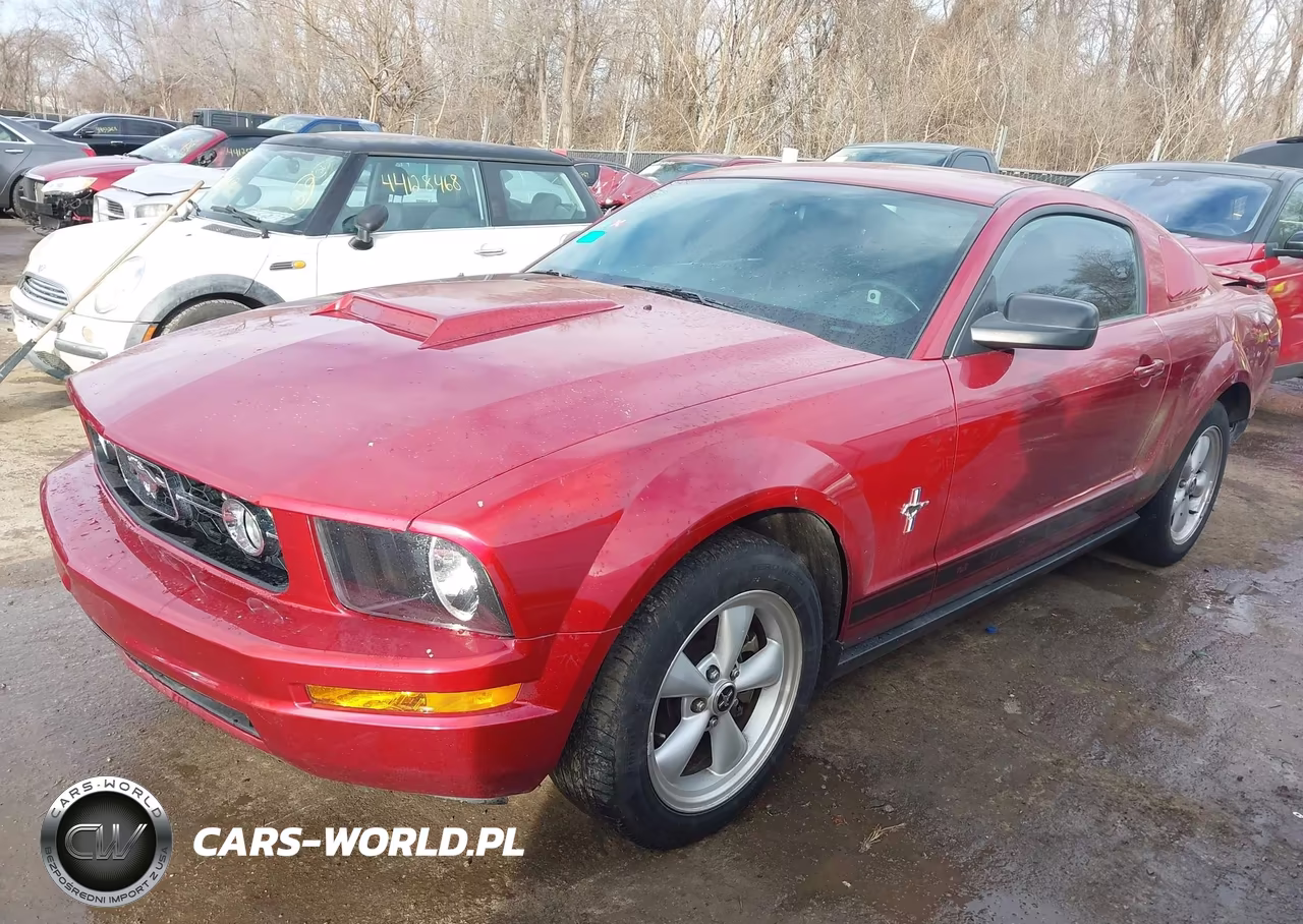 2007 Ford Mustang V6 Deluxe-V6 Premium VIN:1ZVFT80N975334873 - 2