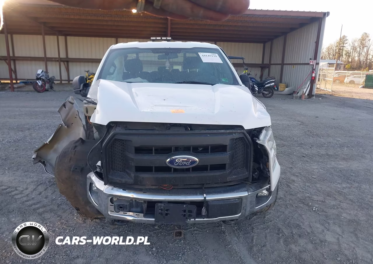 2015 Ford F-150 Xl VIN:1FTEX1EP6FKD94372 - 11