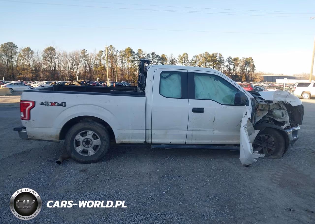 2015 Ford F-150 Xl VIN:1FTEX1EP6FKD94372 - 12