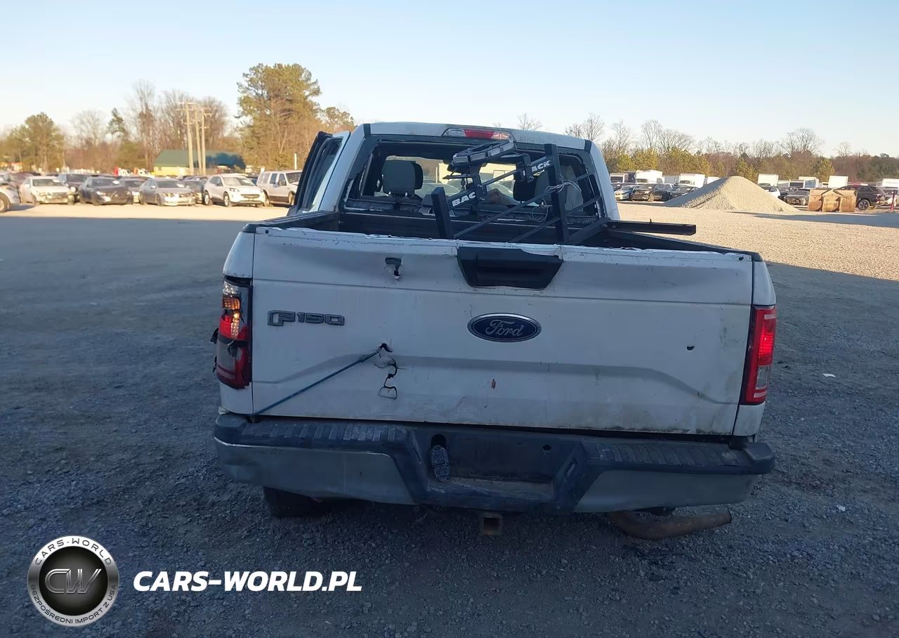 2015 Ford F-150 Xl VIN:1FTEX1EP6FKD94372 - 15