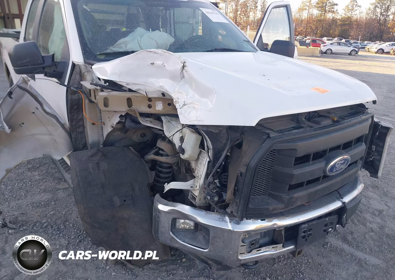 2015 Ford F-150 Xl VIN:1FTEX1EP6FKD94372 - 6