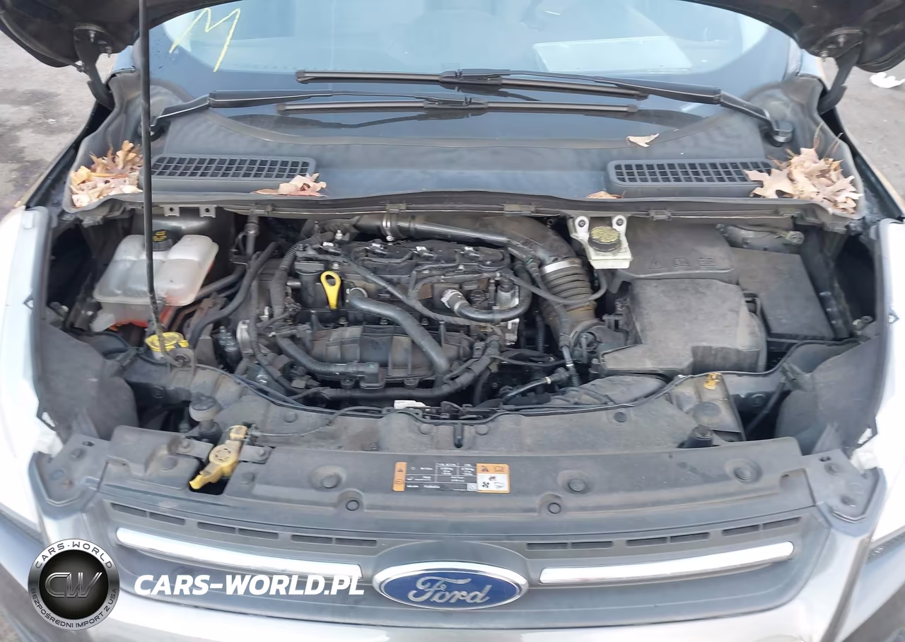 2016 Ford Escape Se VIN:1FMCU0GX1GUB53473 - 10