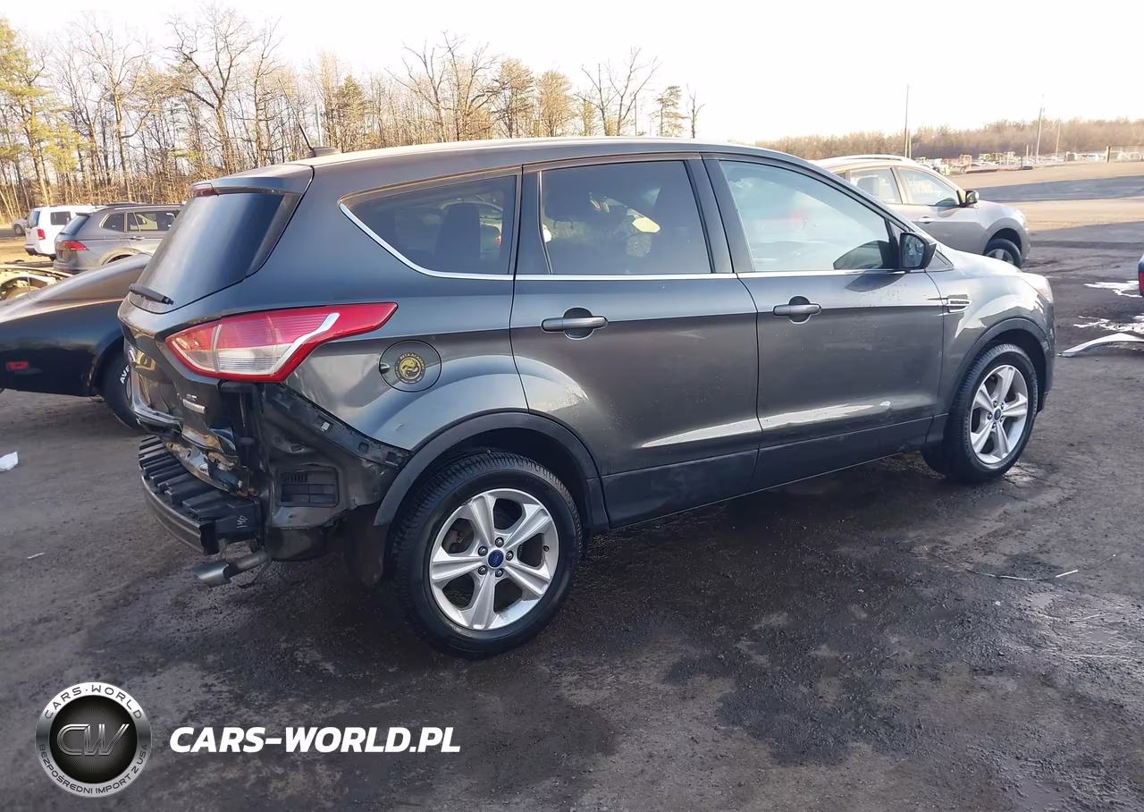 2016 Ford Escape Se VIN:1FMCU0GX1GUB53473 - 4