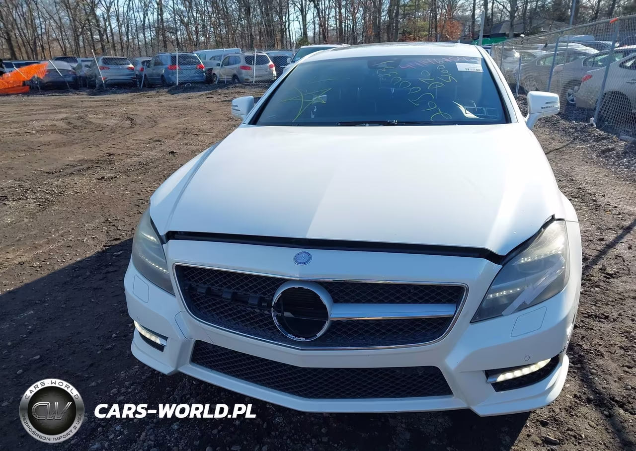 2012 Mercedes-Benz Cls 550 VIN:WDDLJ7DB1CA007526 - 12