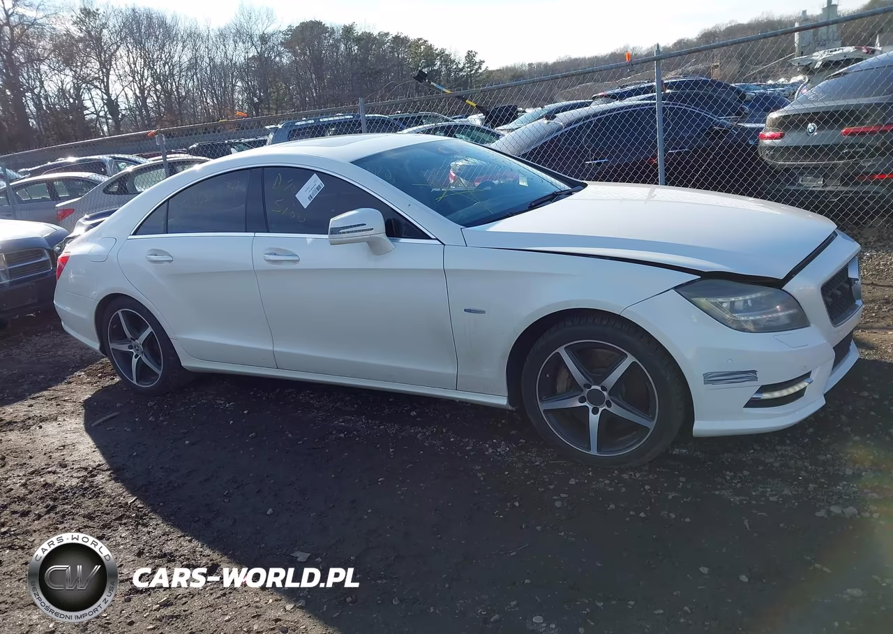 2012 Mercedes-Benz Cls 550 VIN:WDDLJ7DB1CA007526 - 13
