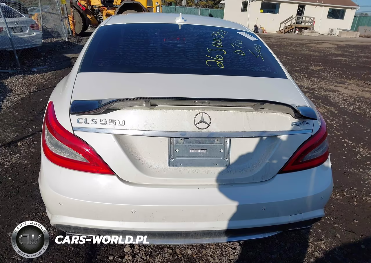 2012 Mercedes-Benz Cls 550 VIN:WDDLJ7DB1CA007526 - 16