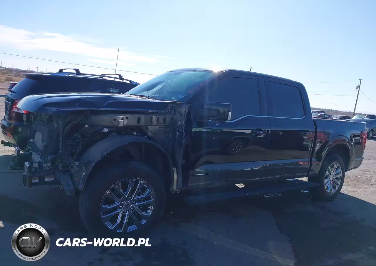 2025 Ford F-150 King Ranch VIN:1FTFW6LD4SFA28894 - 13