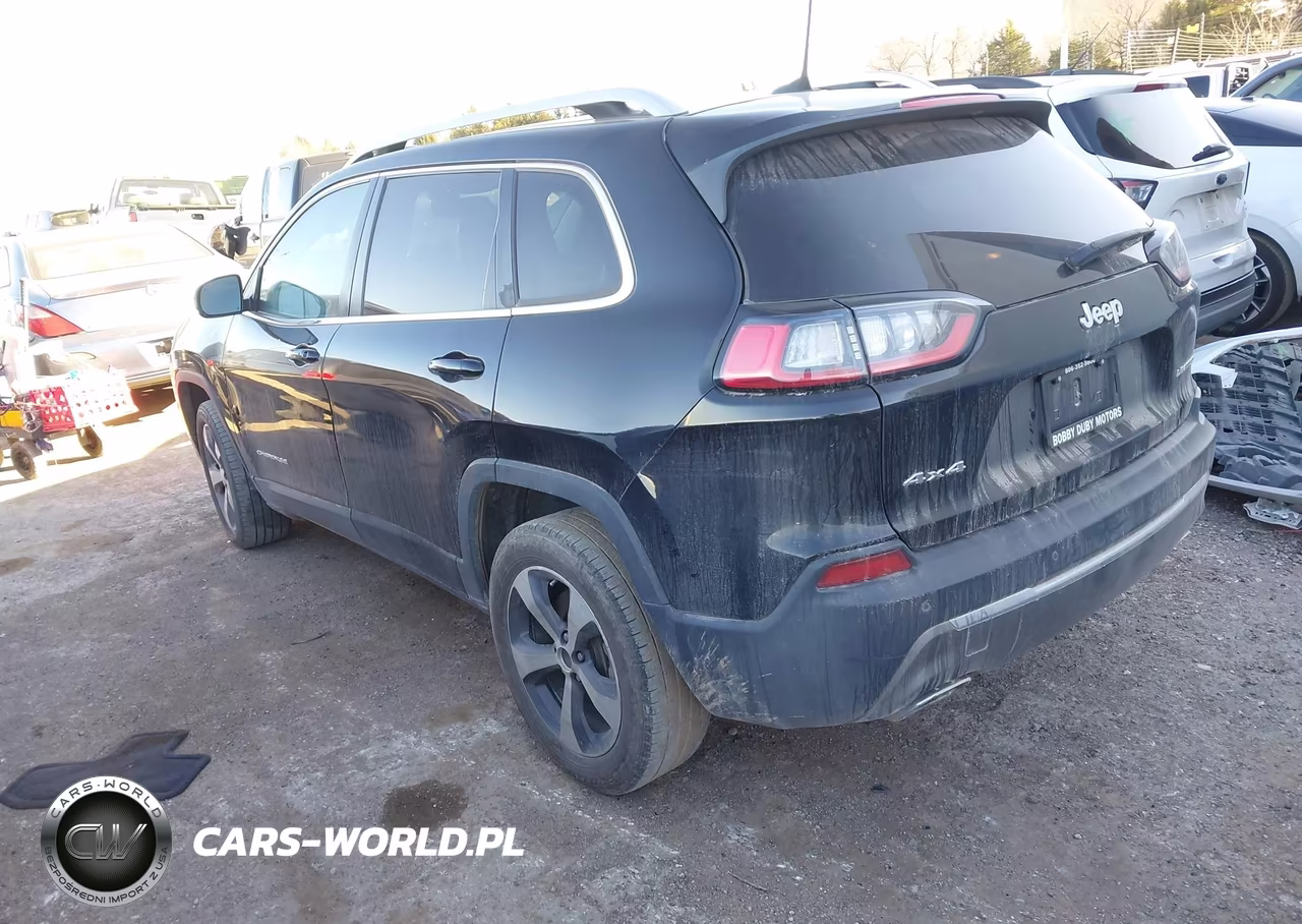 2019 Jeep Cherokee Limited 4X4 VIN:1C4PJMDN2KD299530 - 3