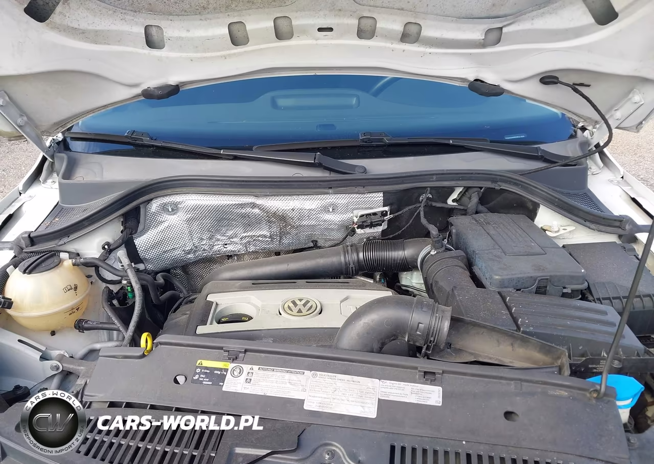 2014 Volkswagen Tiguan S VIN:WVGAV3AX6EW521808 - 10