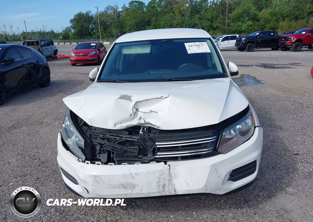 2014 Volkswagen Tiguan S VIN:WVGAV3AX6EW521808 - 12