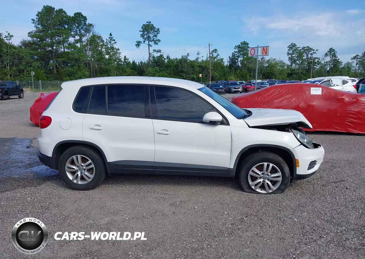 2014 Volkswagen Tiguan S VIN:WVGAV3AX6EW521808 - 13