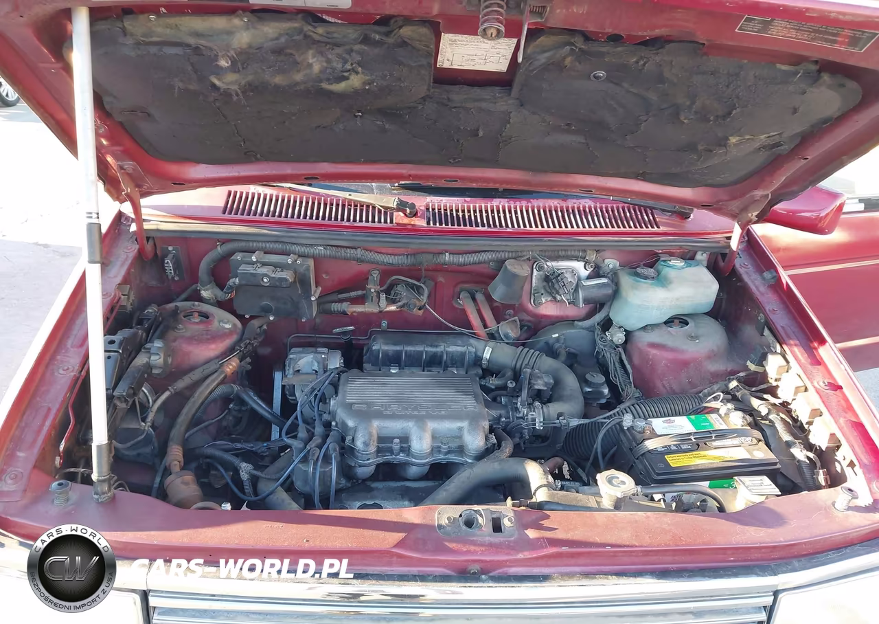 1989 Plymouth Grand Voyager Le VIN:1P4FH5439KX695332 - 10