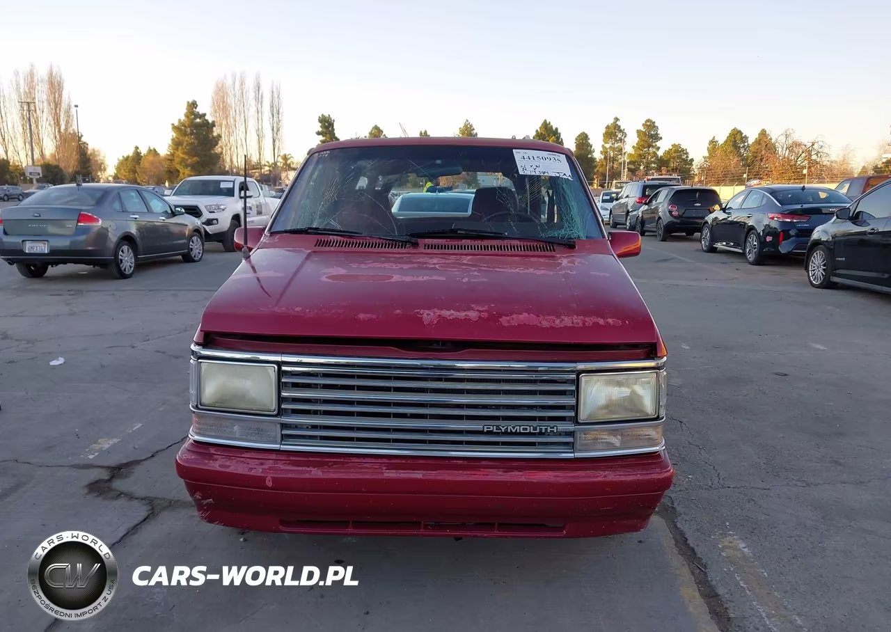 1989 Plymouth Grand Voyager Le VIN:1P4FH5439KX695332 - 12