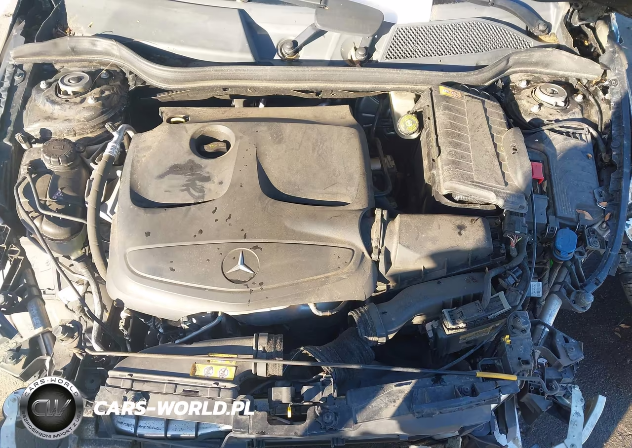 2014 Mercedes-Benz Cla 250 VIN:WDDSJ4EB0EN031000 - 10