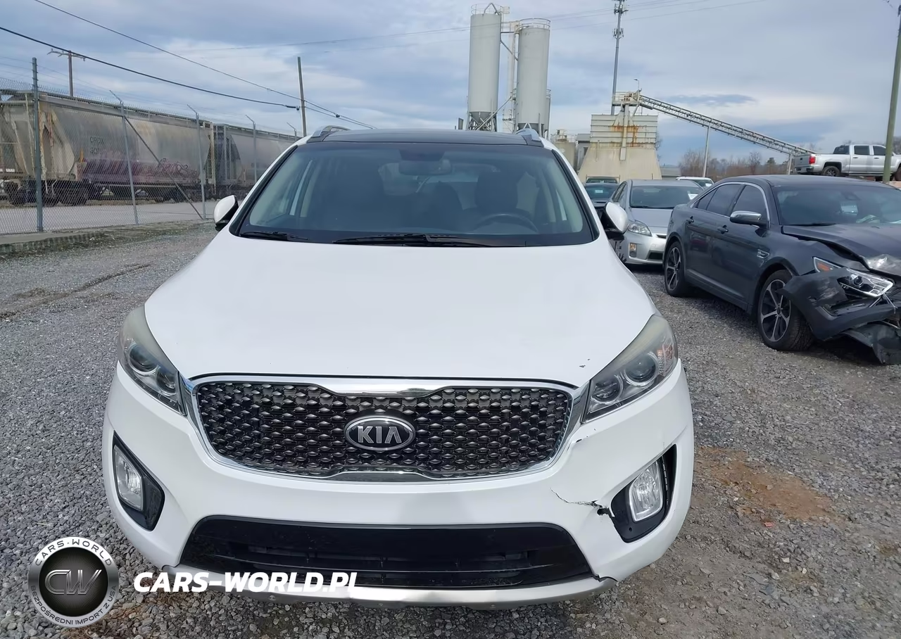 2016 Kia Sorento 3.3L Sx VIN:5XYPKDA52GG173419 - 13
