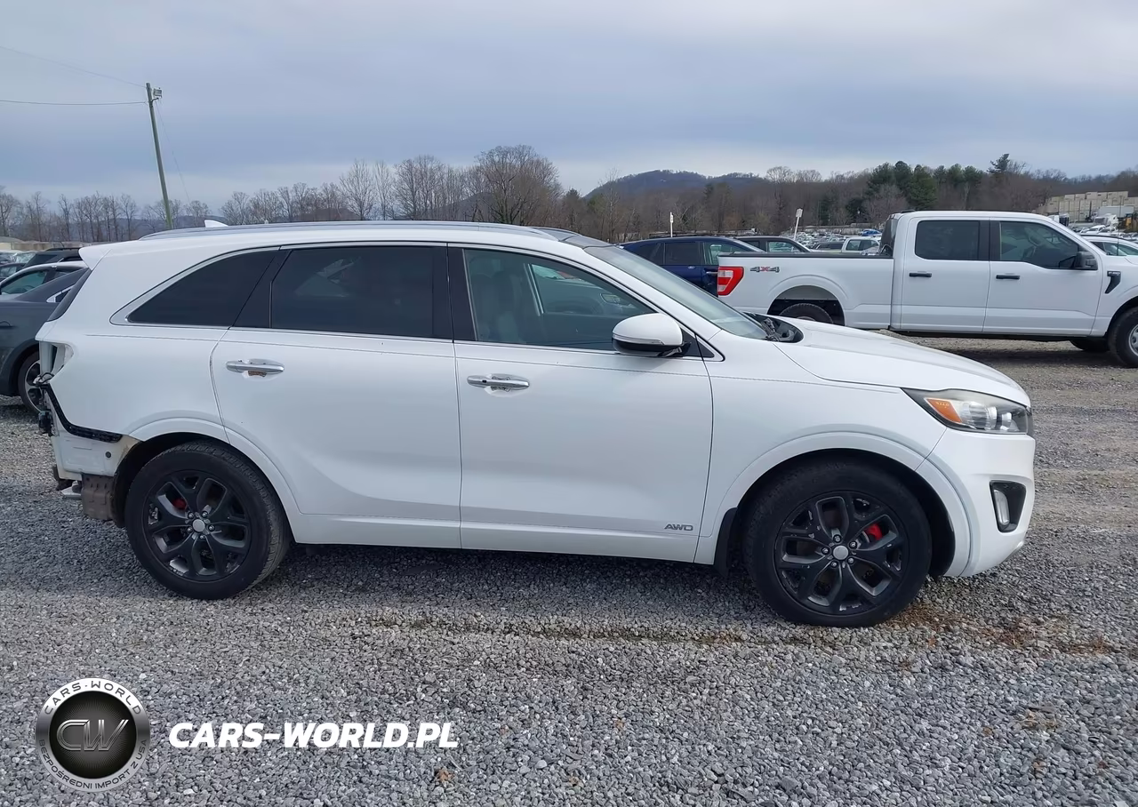 2016 Kia Sorento 3.3L Sx VIN:5XYPKDA52GG173419 - 14