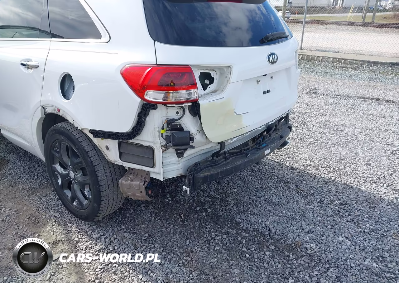 2016 Kia Sorento 3.3L Sx VIN:5XYPKDA52GG173419 - 6