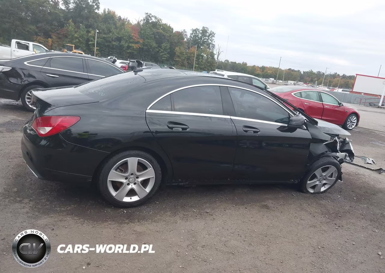 2017 Mercedes-Benz Cla 250 VIN:WDDSJ4EBXHN440996 - 13