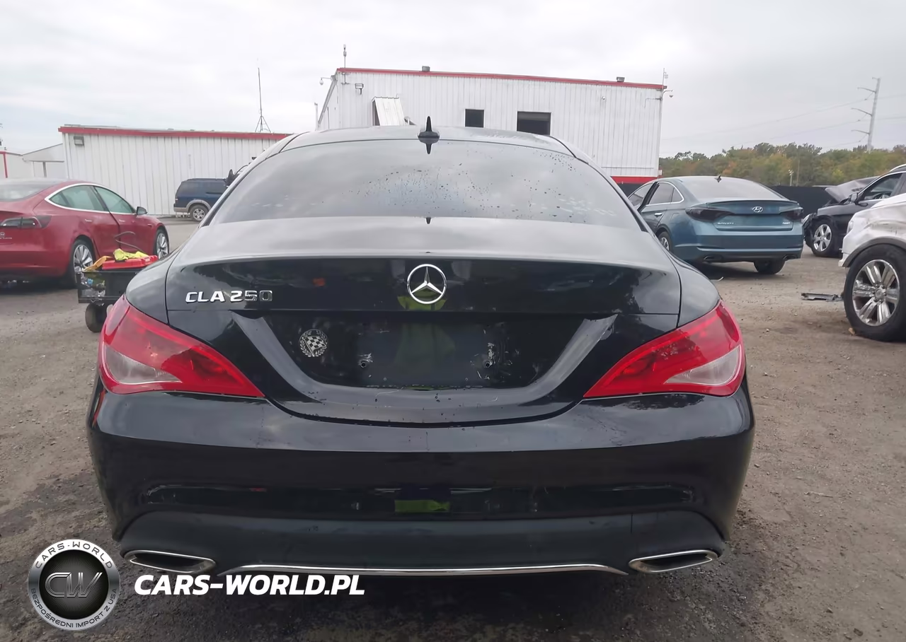2017 Mercedes-Benz Cla 250 VIN:WDDSJ4EBXHN440996 - 16