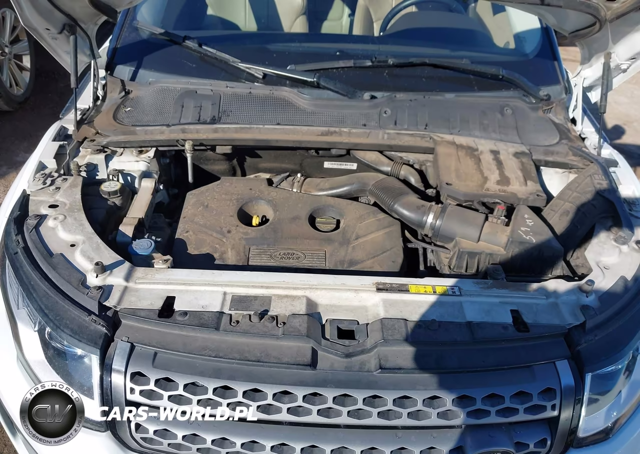 2016 Land Rover Range Rover Evoque Se-Se Premium VIN:SALVP2BG2GH084057 - 10