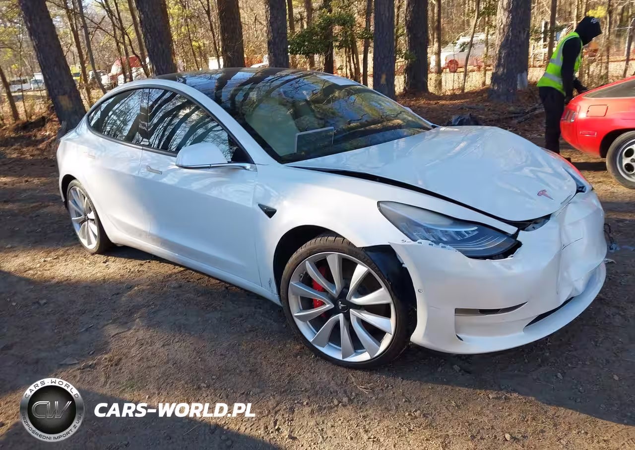 2019 Tesla Model 3 Long Range-Performance