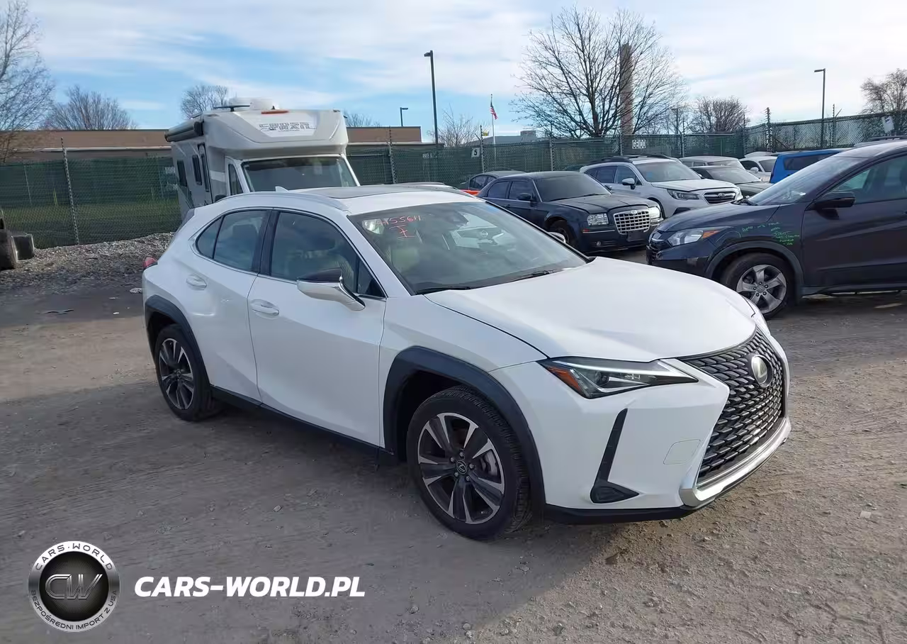 2019 Lexus Ux 200