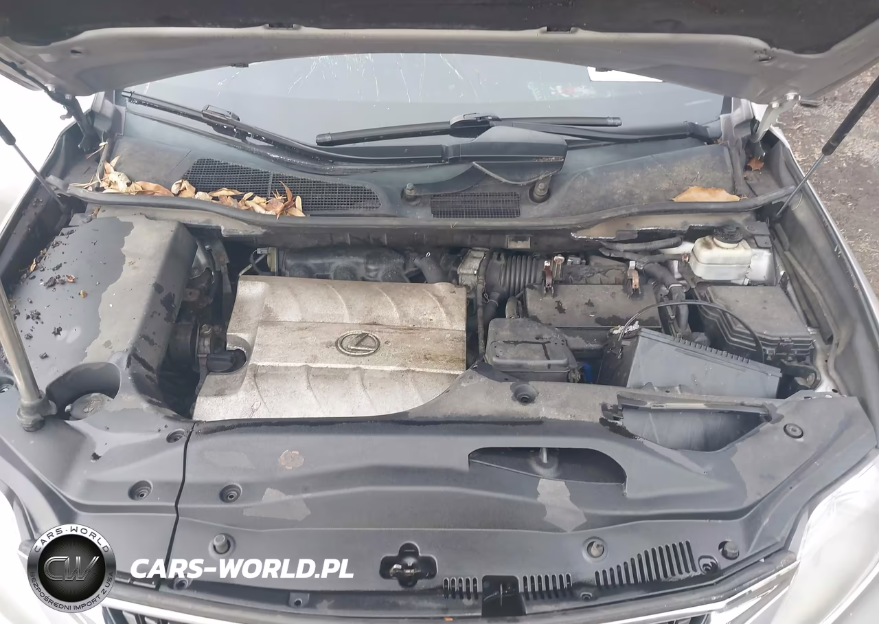 2010 Lexus Rx 350 VIN:2T2BK1BA3AC020051 - 10