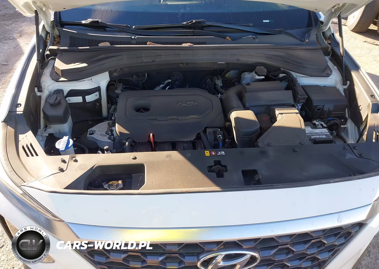 2019 Hyundai Santa Fe Limited VIN:5NMS53AD1KH037235 - 10