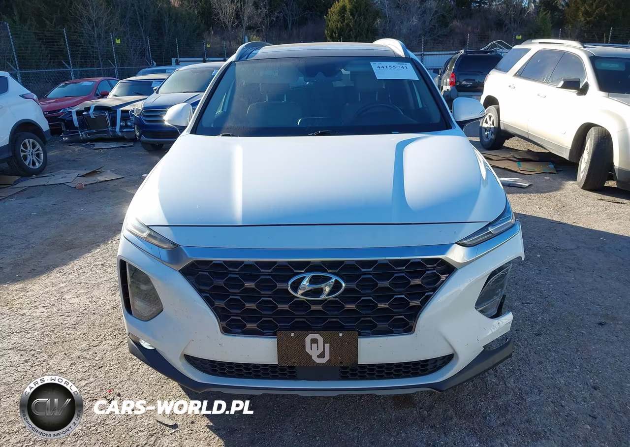 2019 Hyundai Santa Fe Limited VIN:5NMS53AD1KH037235 - 12