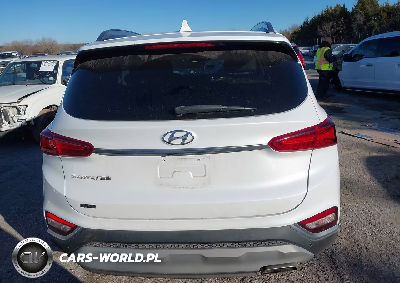 2019 Hyundai Santa Fe Limited VIN:5NMS53AD1KH037235 - 16