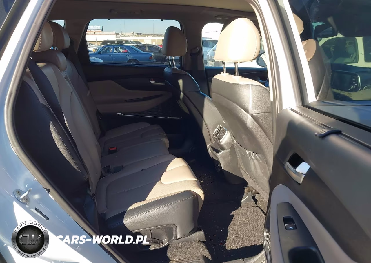 2019 Hyundai Santa Fe Limited VIN:5NMS53AD1KH037235 - 8