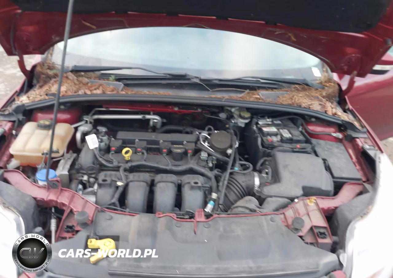 2014 Ford Focus Se VIN:1FADP3F26EL238339 - 10