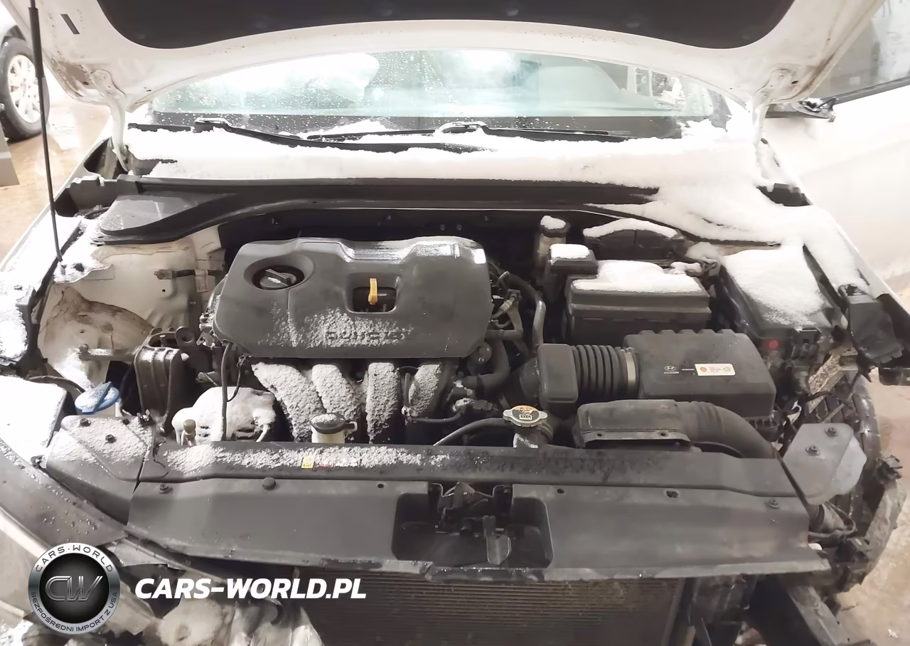 2019 Hyundai Elantra Sel VIN:5NPD84LF3KH491669 - 10