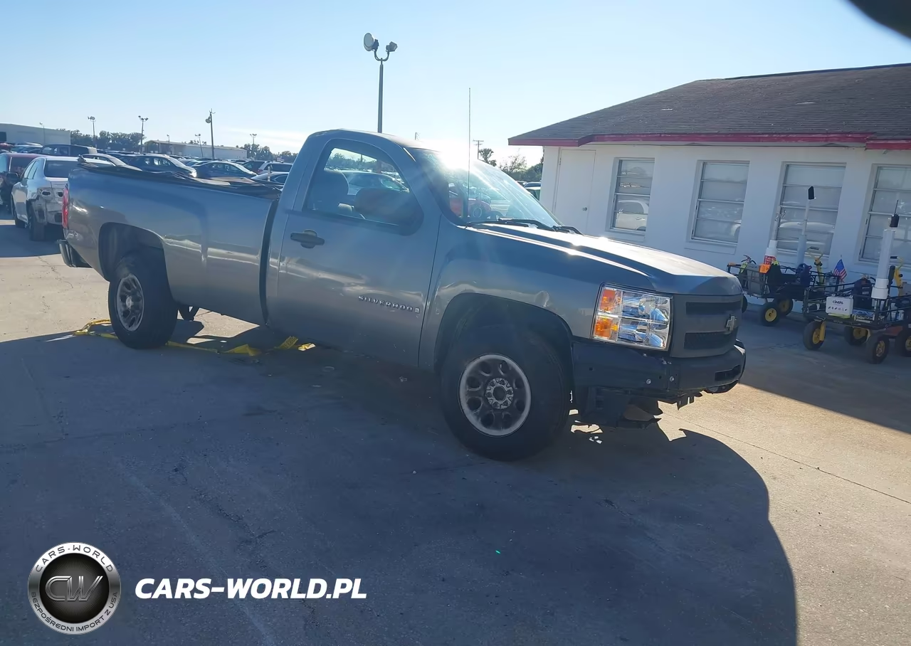 2009 Chevrolet Silverado 1500 Work Truck