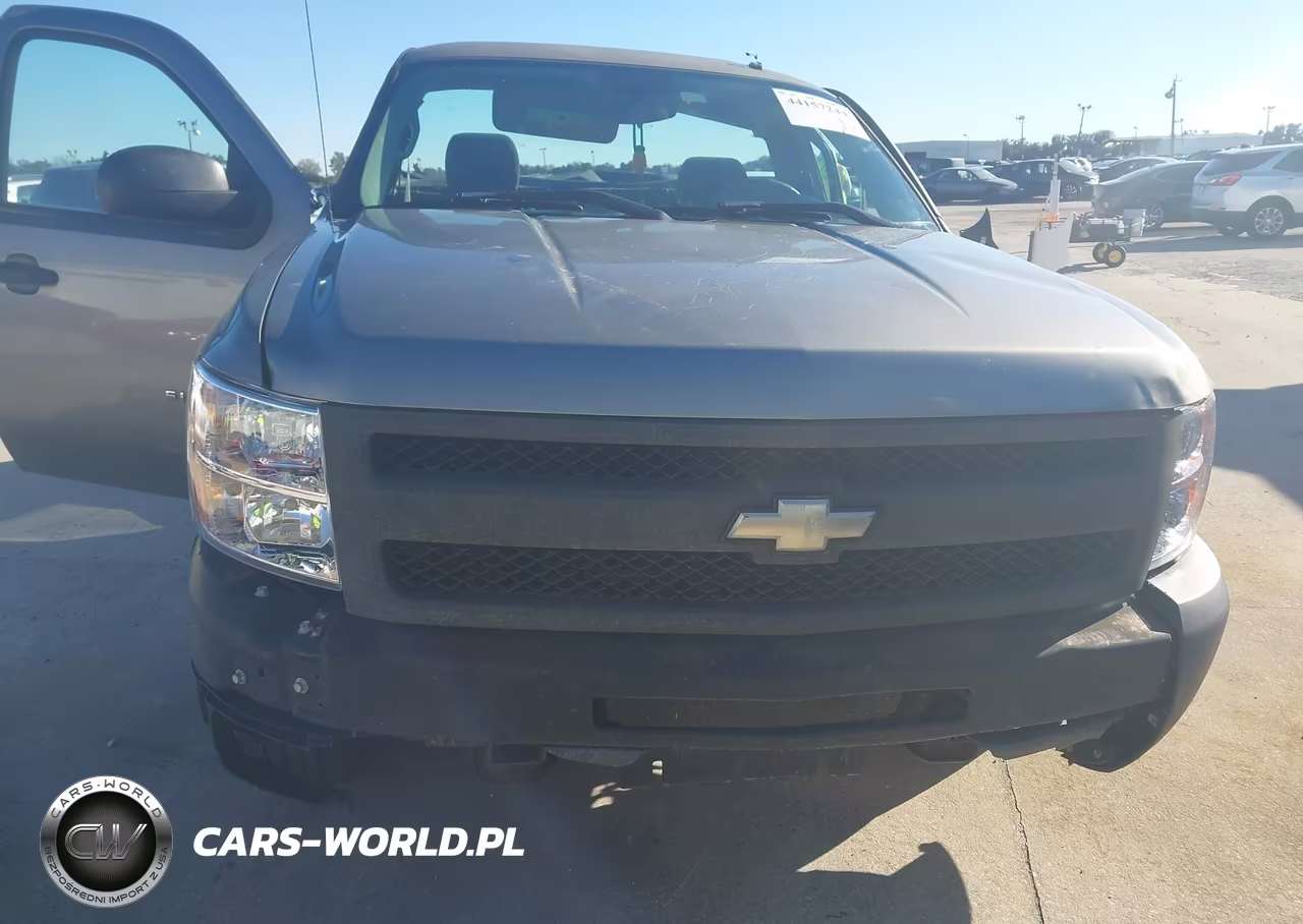 2009 Chevrolet Silverado 1500 Work Truck VIN:1GCEC14X59Z135901 - 12