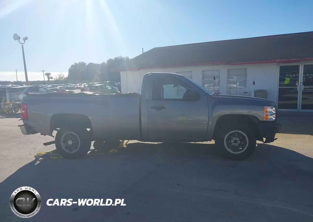 2009 Chevrolet Silverado 1500 Work Truck VIN:1GCEC14X59Z135901 - 13