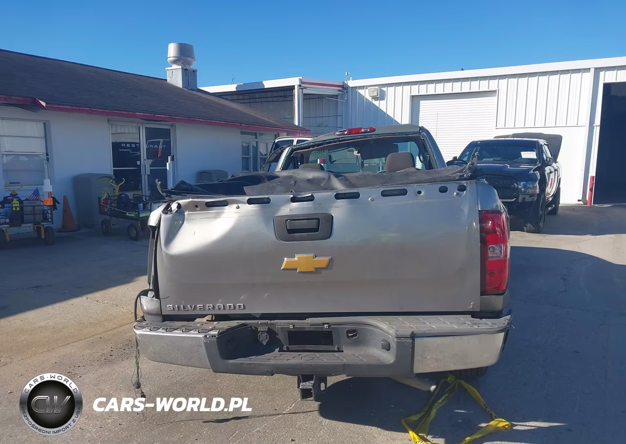 2009 Chevrolet Silverado 1500 Work Truck VIN:1GCEC14X59Z135901 - 16