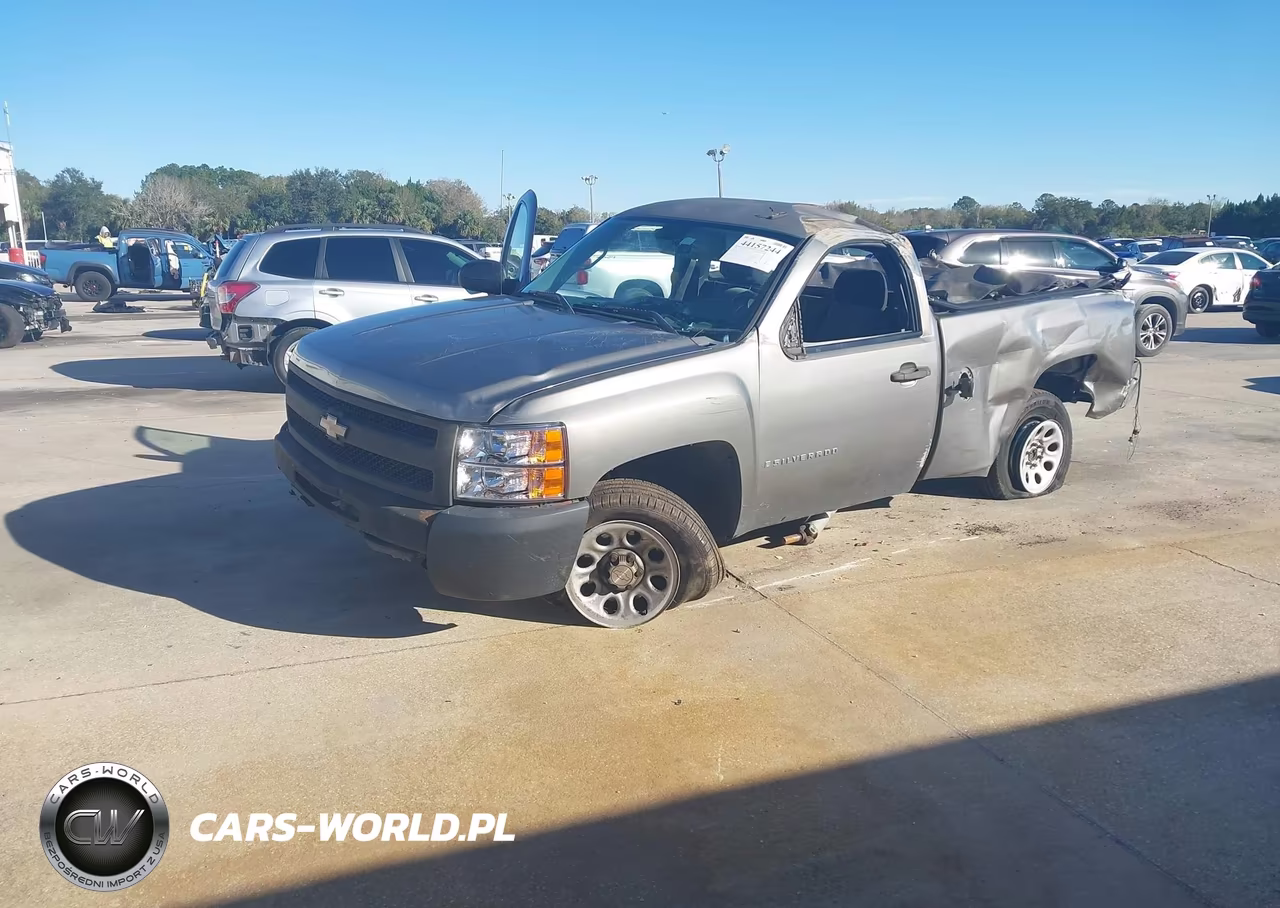 2009 Chevrolet Silverado 1500 Work Truck VIN:1GCEC14X59Z135901 - 2