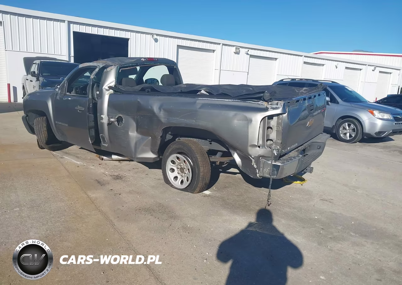 2009 Chevrolet Silverado 1500 Work Truck VIN:1GCEC14X59Z135901 - 3